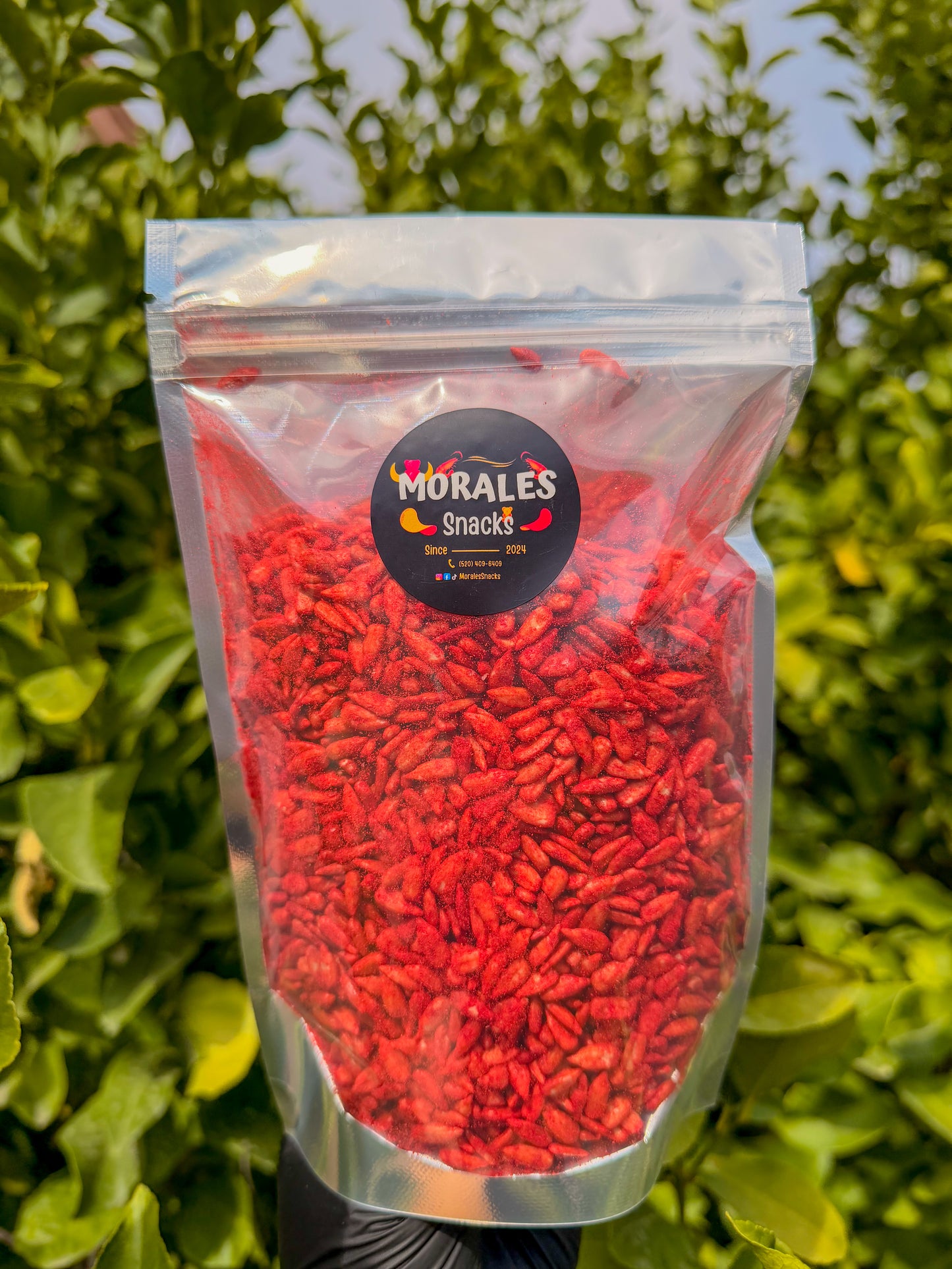 Flamin’ Sunflower Seeds (Red)