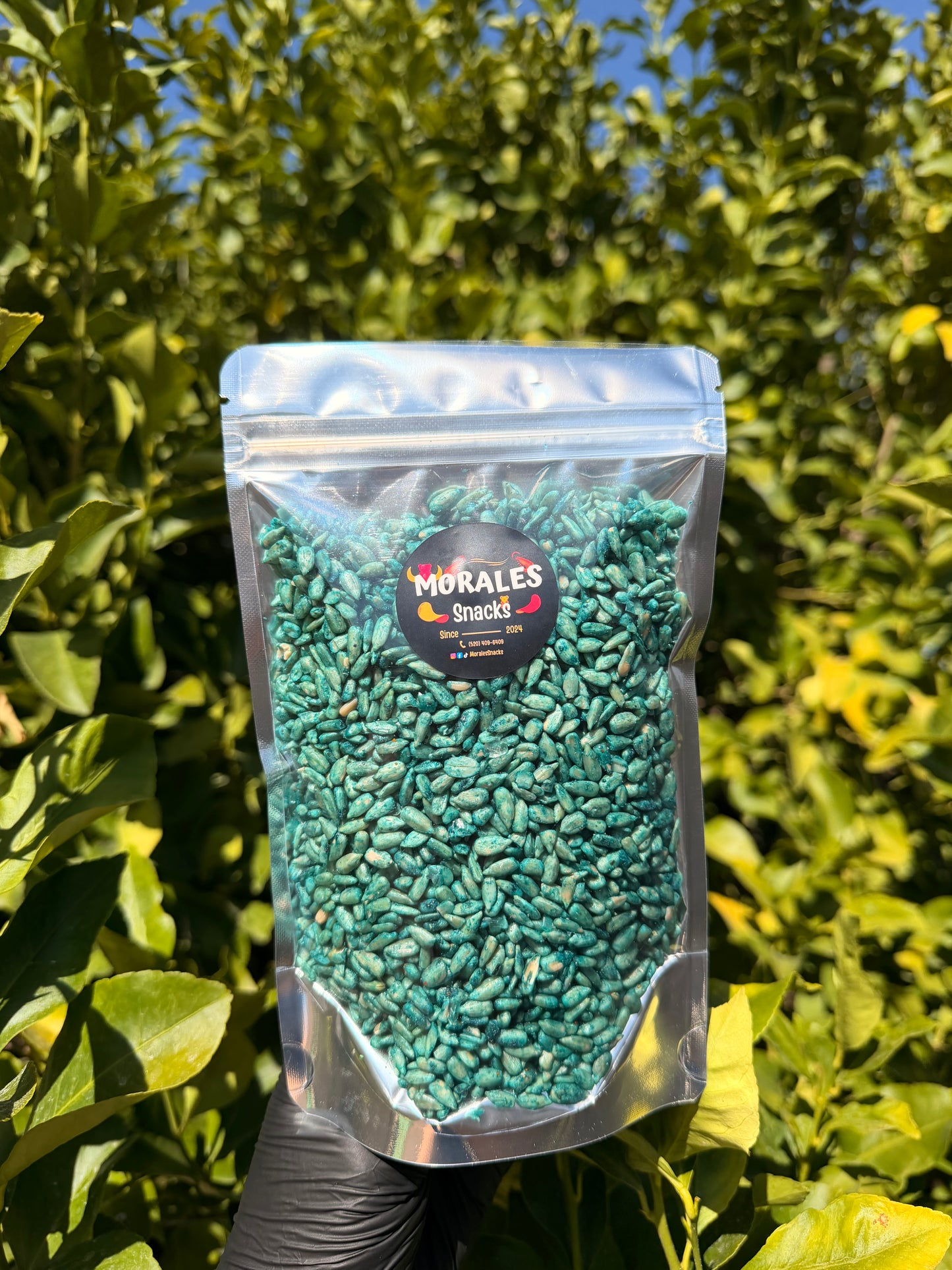 Flamin’ Sunflower Seeds (Blue)