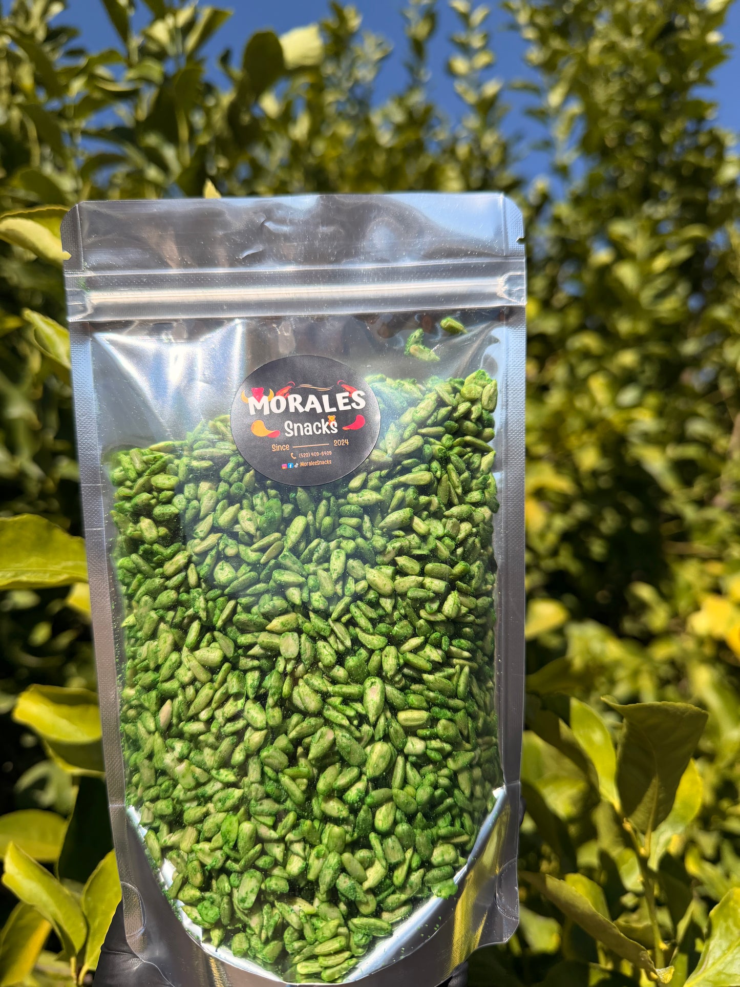 Flamin’ Sunflower Seeds (Green)